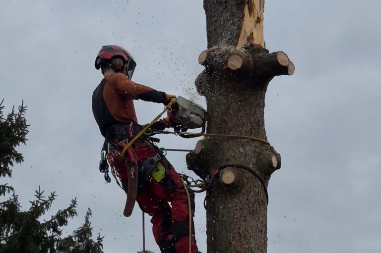 Spezialfällung bei schwierigen Standorten, Sturmschäden und Windwürfen – mit modernster Technik und zertifiziertem Team. Baumfällung in München – sicher mit Seilklettertechnik & Autokran