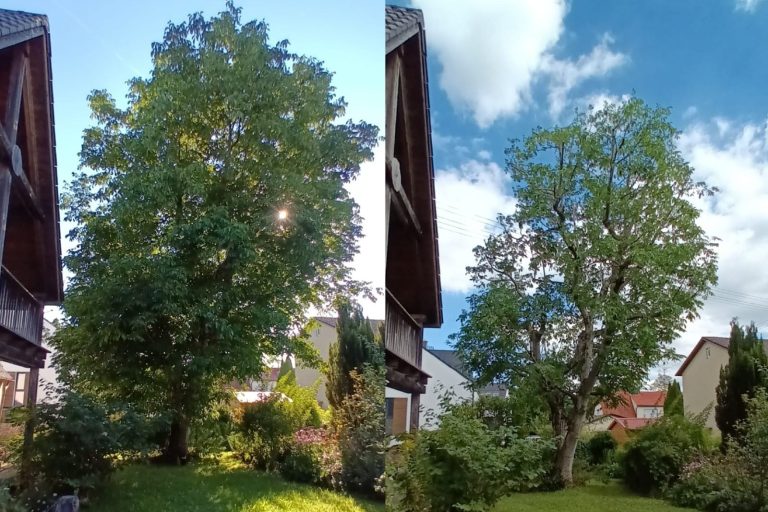 Obstbaumschnitt, Kronensicherung und Jungbaumpflege – wir erhalten die Gesundheit und Sicherheit Ihrer Bäume mit fachgerechten Maßnahmen Baumpflege & Kronenschnitt – Verkehrssicherheit und Vitalität für Ihre Bäume